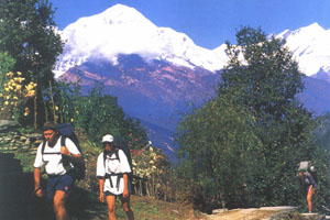 Mera Peak